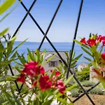 Greystone - House * Podgora (Split-Dalmatia)