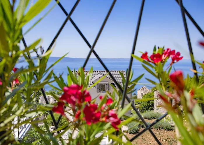 Greystone - House * Podgora (Split-Dalmatia)